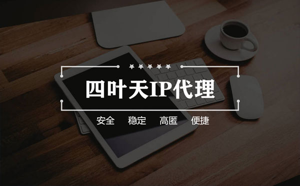 【文昌代理IP】如何快速搭建代理IP？怎么检查代理的效果？